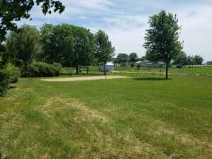 outdoors area with sand volleyball court surrounded by green trees
