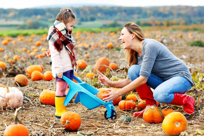 Substance-Free Ideas: Fall Festivities for Family-Friendly Fun