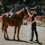 equine therapy program
