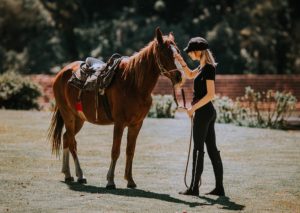 equine therapy program